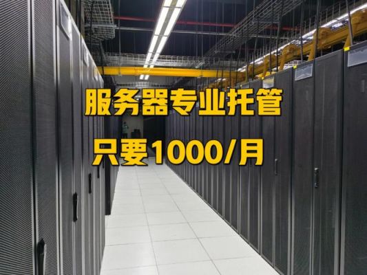 服务器托管费用(服务器托管费用是什么会计科目)-图3 服务器托管费用(服务器托管费用是什么会计科目)-图3