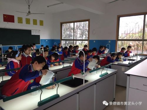 景德镇市封闭式学校在哪里(景德镇 学校)-图1 景德镇市封闭式学校在哪里(景德镇 学校)-图1