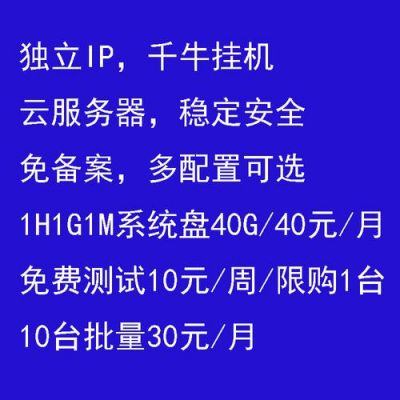 挂机服务器代理(服务器怎么挂代理)-图3 挂机服务器代理(服务器怎么挂代理)-图3