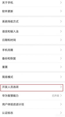华为开发者选项关闭(华为开发者选项关闭后还是处于开发状态)-图1 华为开发者选项关闭(华为开发者选项关闭后还是处于开发状态)-图1