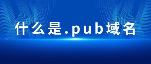 pub域名认证(pub域名怎么样)-图2 pub域名认证(pub域名怎么样)-图2