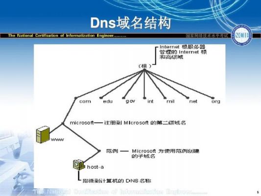 免费域名服务器有哪些(免费域名和服务器推荐)-图2 免费域名服务器有哪些(免费域名和服务器推荐)-图2