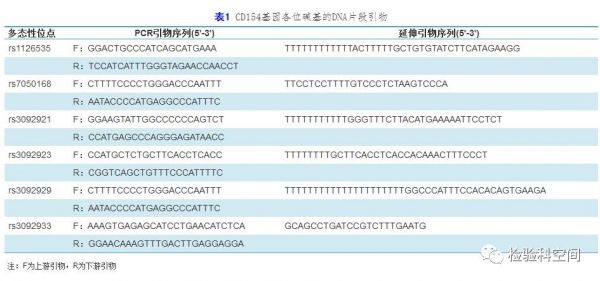 怎么查自己dns(怎么查自己dna的全序列)-图1 怎么查自己dns(怎么查自己dna的全序列)-图1