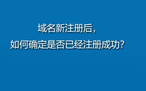 域名注册收费(域名注册收费合理吗)-图3 域名注册收费(域名注册收费合理吗)-图3