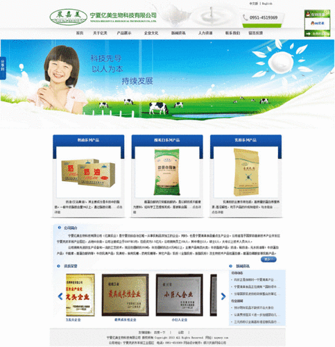 宁夏网站设计在哪里(宁夏设计公司排名)-图1 宁夏网站设计在哪里(宁夏设计公司排名)-图1