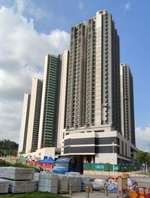 深圳凤新站在哪里(深圳凤凰新村)-图2 深圳凤新站在哪里(深圳凤凰新村)-图2