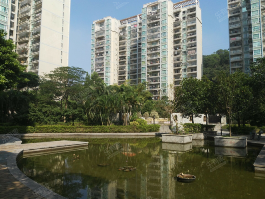 深圳凤新站在哪里(深圳凤凰新村)-图1 深圳凤新站在哪里(深圳凤凰新村)-图1
