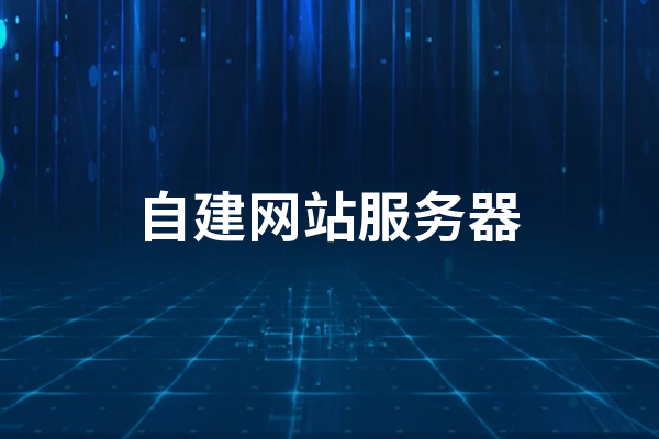 自建网站服务器(如何自建网站服务器)-图1 自建网站服务器(如何自建网站服务器)-图1