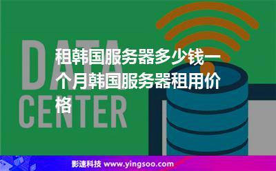 硬防韩国服务器租用(租韩国服务器多少钱一个月)-图2 硬防韩国服务器租用(租韩国服务器多少钱一个月)-图2