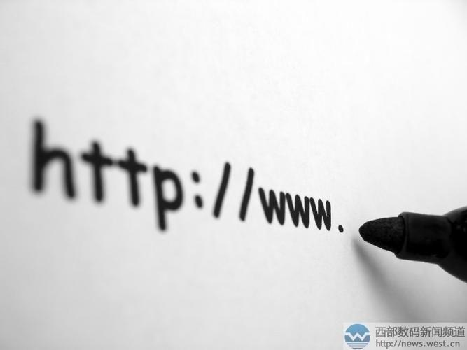 最好的动态域名(动态域名安全吗)-图1 最好的动态域名(动态域名安全吗)-图1