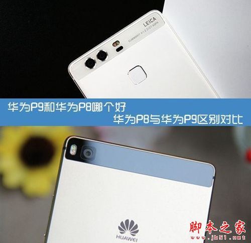 华为p8对比(华为p8和p9的区别)-图1 华为p8对比(华为p8和p9的区别)-图1
