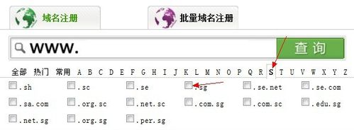 .sg域名(sg域名注册)-图2 .sg域名(sg域名注册)-图2