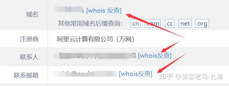 在线子域名扫描(子域名搜索工具)-图2 在线子域名扫描(子域名搜索工具)-图2