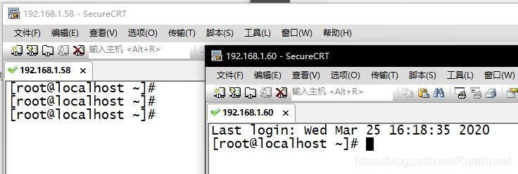 pe域名(pe域名解析ip查询)-图3 pe域名(pe域名解析ip查询)-图3
