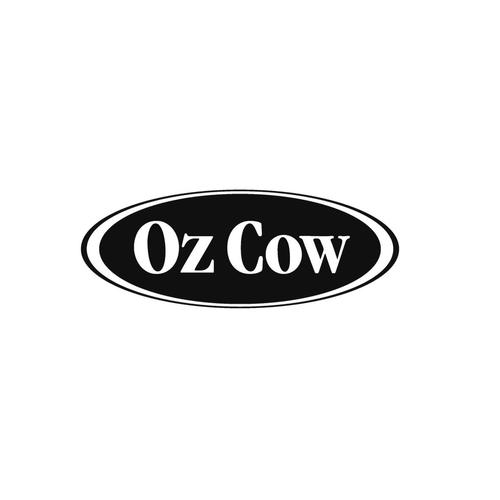 ovzh怎么念(ozcow怎么读音)-图2 ovzh怎么念(ozcow怎么读音)-图2
