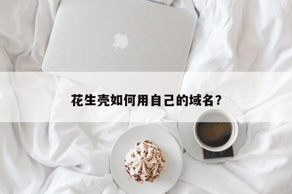怎么申请花生壳(花生壳怎么注册域名)-图3 怎么申请花生壳(花生壳怎么注册域名)-图3