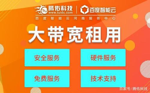 服务器租用带宽(服务器租用带宽多少)-图3 服务器租用带宽(服务器租用带宽多少)-图3