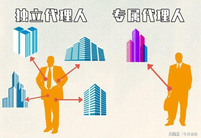 独立代理人怎么注册(独立代理人怎么注册营业执照)-图2 独立代理人怎么注册(独立代理人怎么注册营业执照)-图2