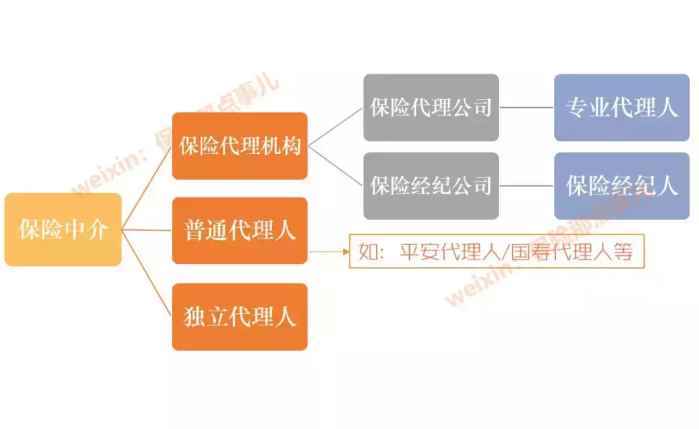 独立代理人怎么注册(独立代理人怎么注册营业执照)-图3 独立代理人怎么注册(独立代理人怎么注册营业执照)-图3