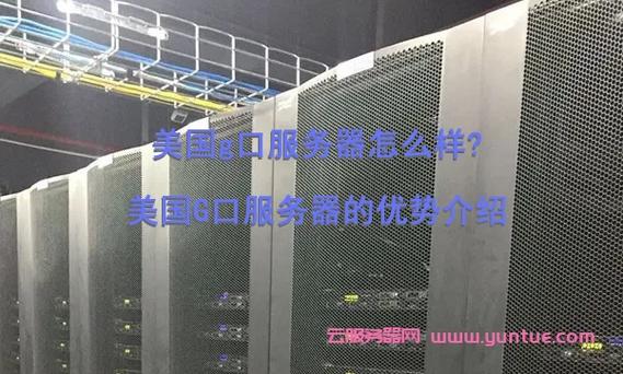美国g口服务器代购(美国服务器代理)-图2 美国g口服务器代购(美国服务器代理)-图2