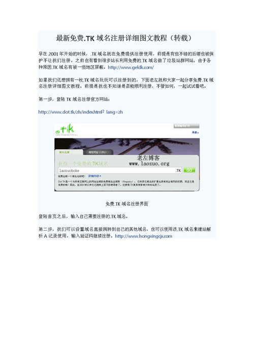 tk域名泛解析(tk域名后缀)-图1 tk域名泛解析(tk域名后缀)-图1