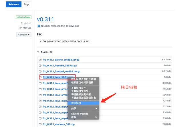 ftp域名解析(frp域名解析)-图3 ftp域名解析(frp域名解析)-图3