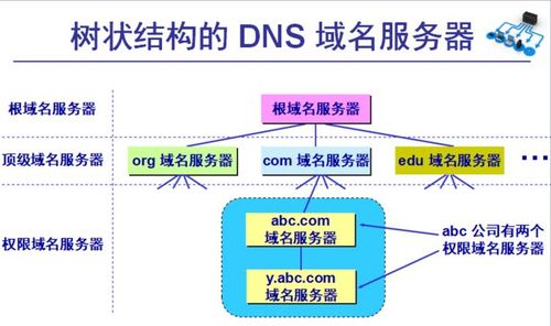 域名系统包括()要素(域名系统由哪三部分构成)-图3 域名系统包括()要素(域名系统由哪三部分构成)-图3