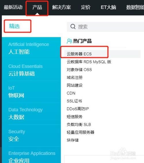 网站云服务器选择(网站云服务器选择什么类型)-图2 网站云服务器选择(网站云服务器选择什么类型)-图2