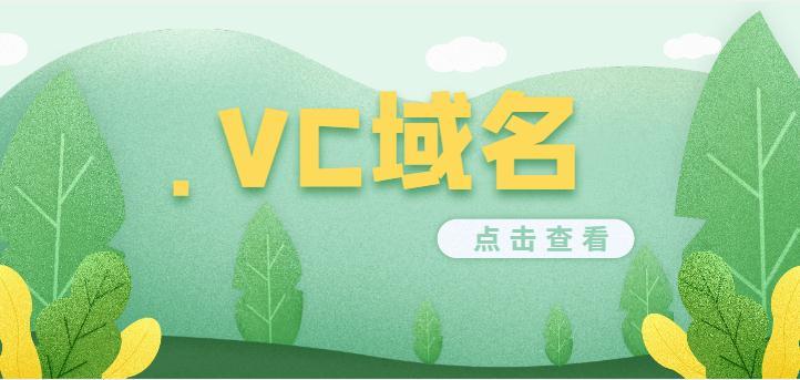 vc域名(vc域名交易价格)-图2 vc域名(vc域名交易价格)-图2