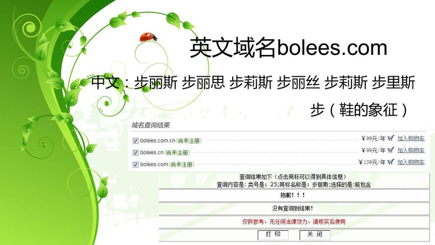 域名英文怎么说(域名英文怎么说)-图1 域名英文怎么说(域名英文怎么说)-图1