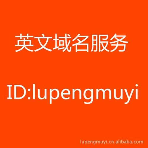 域名英文怎么说(域名英文怎么说)-图3 域名英文怎么说(域名英文怎么说)-图3