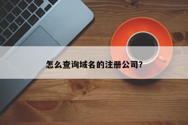 怎么知道域名的注册人(如何查域名的注册人)-图2 怎么知道域名的注册人(如何查域名的注册人)-图2