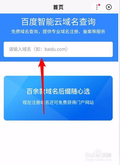 怎么知道域名的注册人(如何查域名的注册人)-图1 怎么知道域名的注册人(如何查域名的注册人)-图1