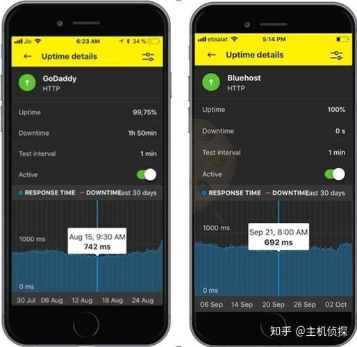 美国的虚拟主机怎么样(美国的虚拟主机怎么样知乎)-图2 美国的虚拟主机怎么样(美国的虚拟主机怎么样知乎)-图2