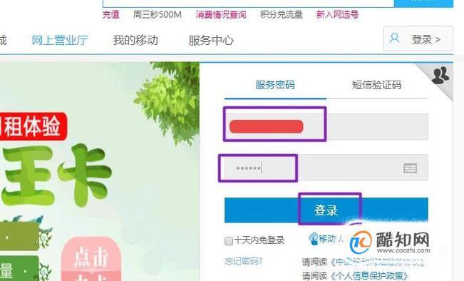 怎么查询别人的dns(怎么查询别人的手机话费余额)-图2 怎么查询别人的dns(怎么查询别人的手机话费余额)-图2