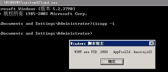 w3wp.exe是什么进程,w3wp.exe占用CPU100%如何解决,w3wp.exe占用cpu过高-图2 w3wp.exe是什么进程,w3wp.exe占用CPU100%如何解决,w3wp.exe占用cpu过高-图2