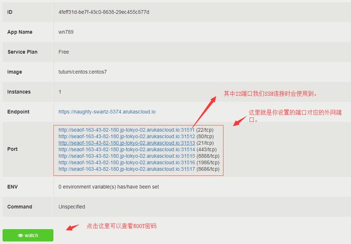 1个vps多少个ip,vps怎么分区-图3 1个vps多少个ip,vps怎么分区-图3
