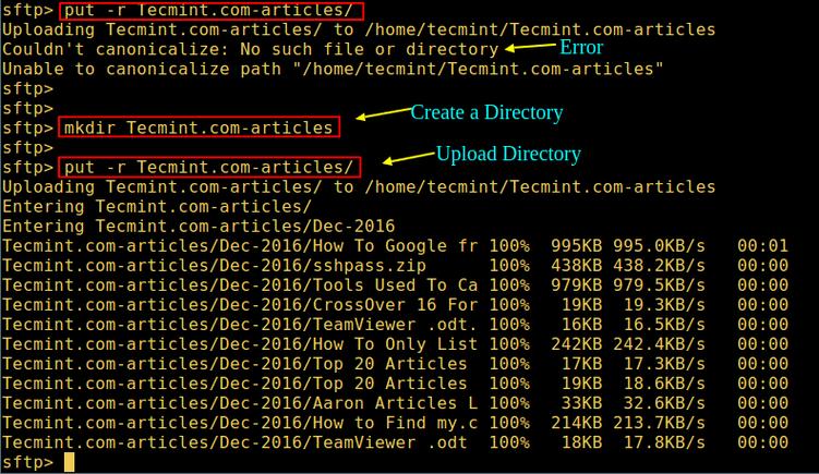 Linux下home里不能新建文件夹怎样回事,linux无法创建文件的原因-图3 Linux下home里不能新建文件夹怎样回事,linux无法创建文件的原因-图3