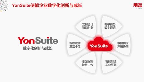 gsuite怎么注册(用友yonsuite教程)-图2 gsuite怎么注册(用友yonsuite教程)-图2