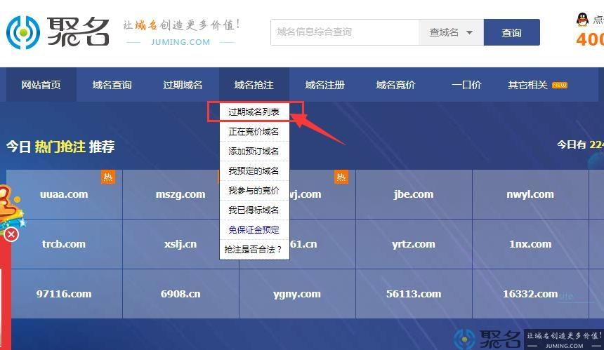 技巧揭秘:如何成功抢注域名?(如何抢注好域名)-图2 技巧揭秘:如何成功抢注域名?(如何抢注好域名)-图2