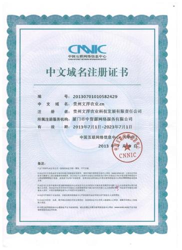 中文域名注册案例:完美申报攻略分享(注册公司加中国有什么条件)-图3 中文域名注册案例:完美申报攻略分享(注册公司加中国有什么条件)-图3