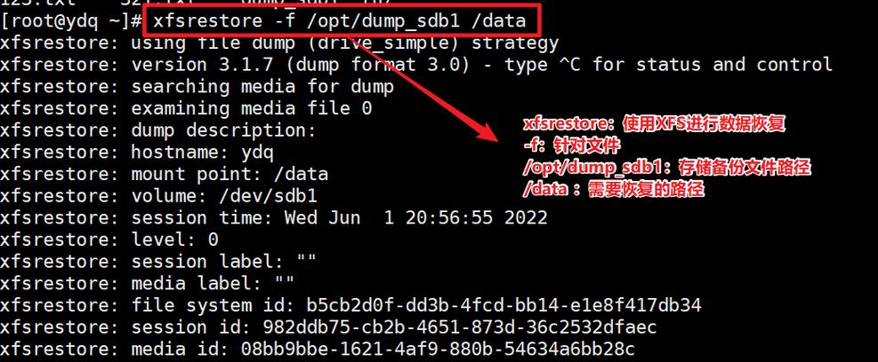 linux怎么快速删除大量文件(linux如何使用rm命令快速删除文件)-图3 linux怎么快速删除大量文件(linux如何使用rm命令快速删除文件)-图3
