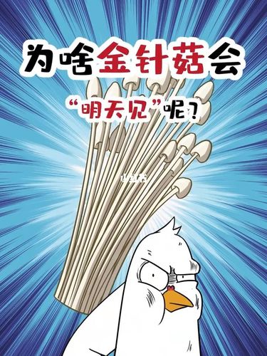 金针菇为什么要明天再见(为什么说金针菇明天见)-图2 金针菇为什么要明天再见(为什么说金针菇明天见)-图2
