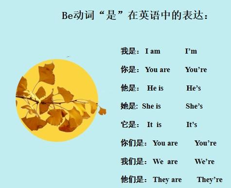 meat前面be动词为什么用is(beef是不可数名词,不是用be动词is修饰吗?如果加some那)-图1 meat前面be动词为什么用is(beef是不可数名词,不是用be动词is修饰吗?如果加some那)-图1