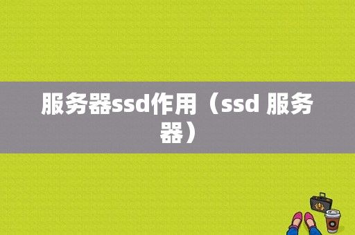 服务器ssd作用（ssd 服务器）