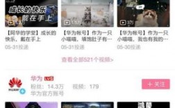 华为荣耀b站（华为b站是什么意思）