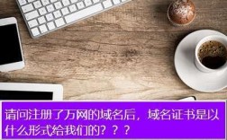 万网域名证书在哪里（万网域名查询系统）