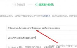wtf域名哪个国家（ws是什么域名）