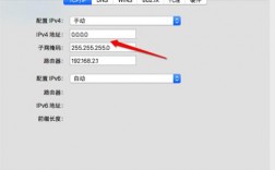 美国环境固定ip地址怎么设置（美国环境固定ip地址怎么设置出来）