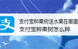 支付宝上哪里可以种水果（支付宝哪里能种水果）